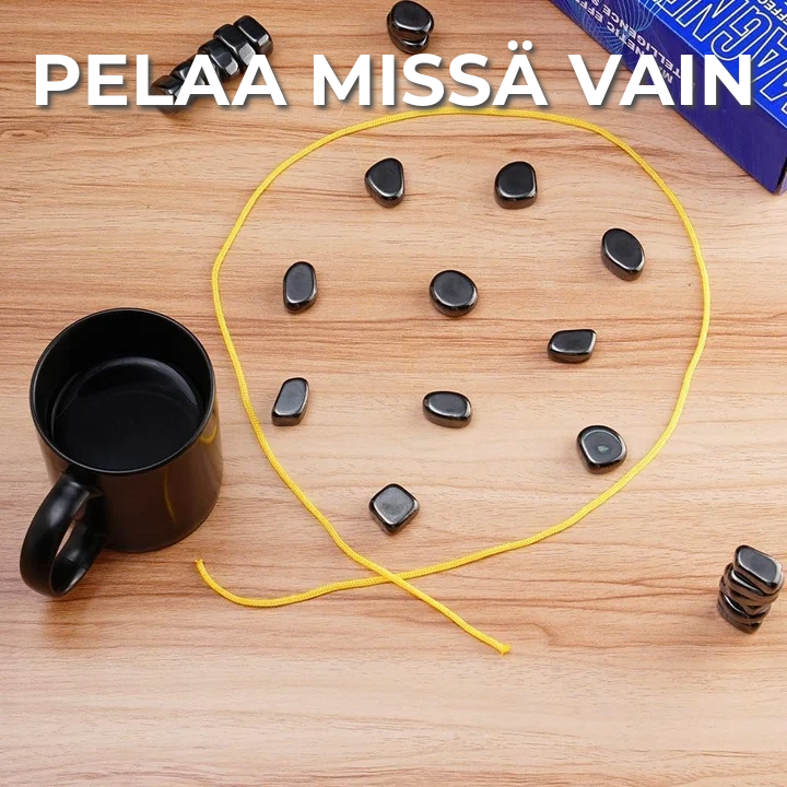 Magneettinen seurapeli