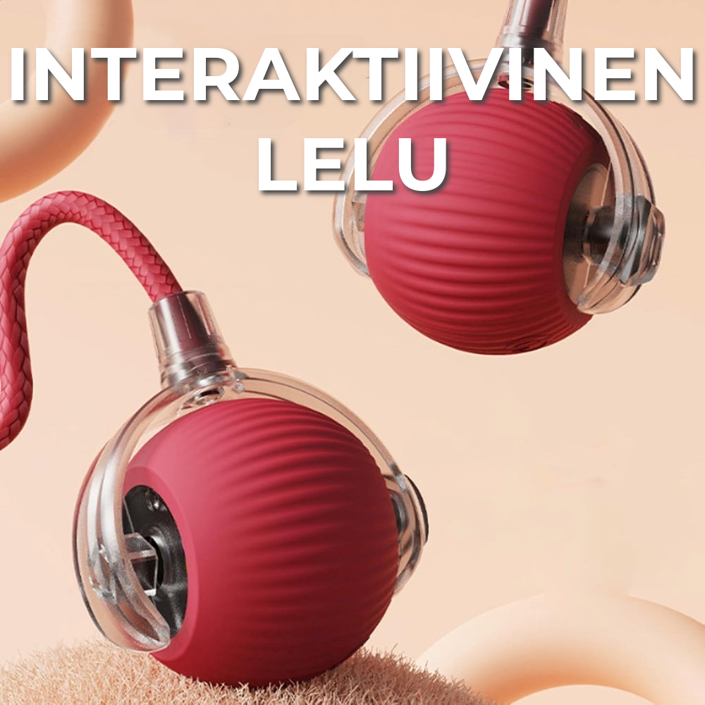 Interaktiivinen lelu