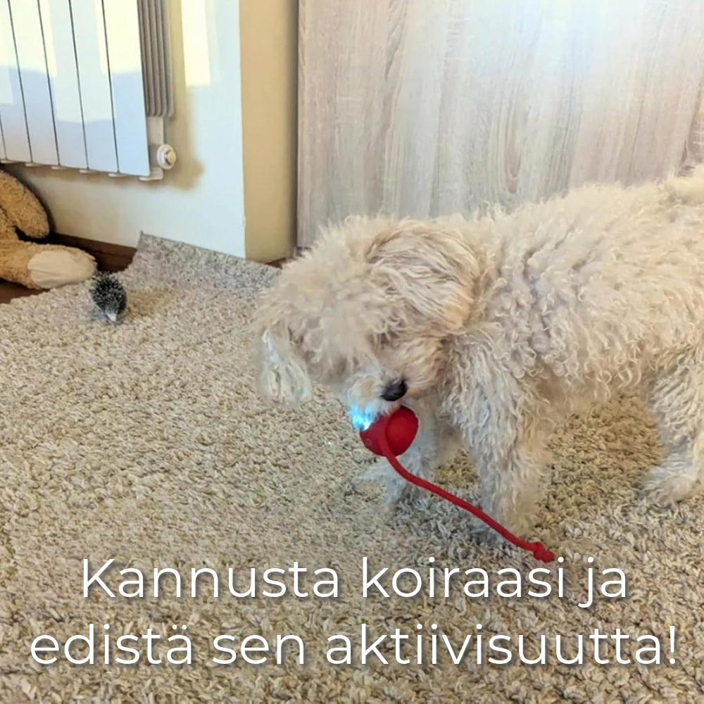 Interaktiivinen lelu