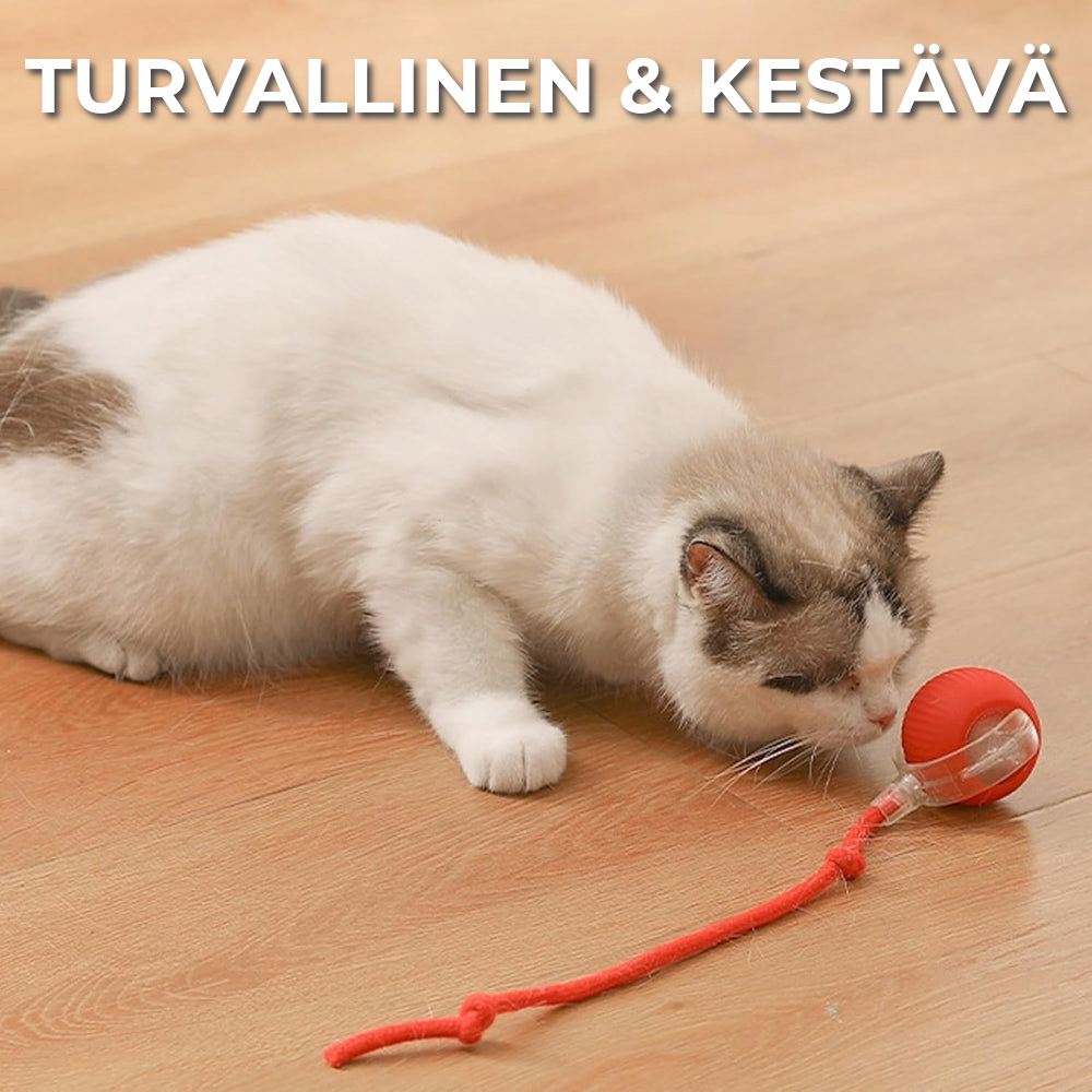 Interaktiivinen lelu