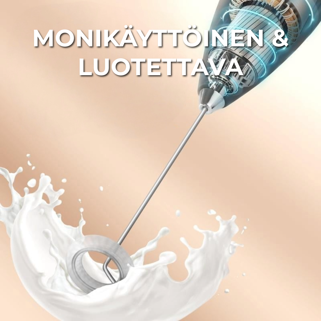 Ammattimainen Maidovaahdotin