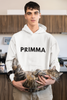 Lemmikkit